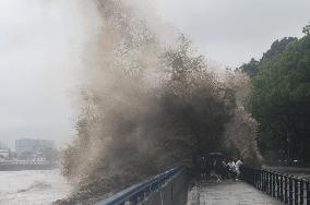 Typhoon Pulasan