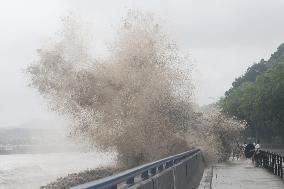 Typhoon Pulasan