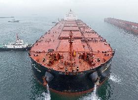 China Seaborne Imports of Dry Bulk Cargo Increased