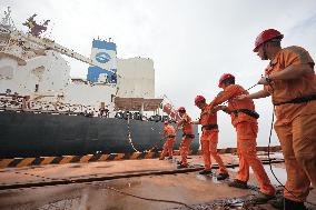 China Seaborne Imports of Dry Bulk Cargo Increased