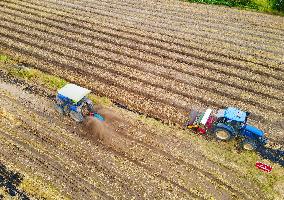 Rape Planting in Anqing