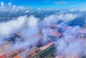 Guanxi Salt Farm in Lianyungang