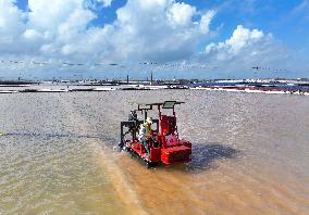 Guanxi Salt Farm in Lianyungang