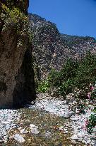 Samaria Gorge On The Island Of Crete