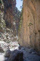 Samaria Gorge On The Island Of Crete