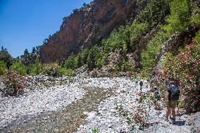 Samaria Gorge On The Island Of Crete