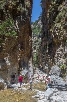 Samaria Gorge On The Island Of Crete