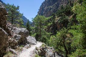 Samaria Gorge On The Island Of Crete