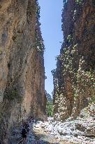 Samaria Gorge On The Island Of Crete