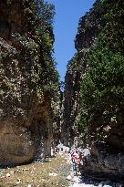 Samaria Gorge On The Island Of Crete