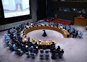 United Nations Security Council Meeting On Palestine And The Middle East