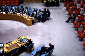 United Nations Security Council Meeting On Palestine And The Middle East