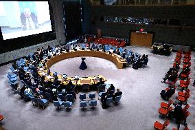 United Nations Security Council Meeting On Palestine And The Middle East