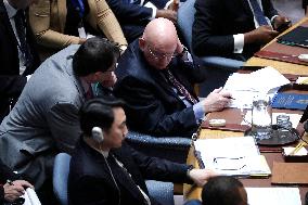 United Nations Security Council Meeting On Palestine And The Middle East