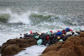 Typhoon Pulasan Hit Qingdao