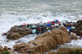 Typhoon Pulasan Hit Qingdao