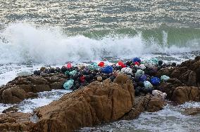 Typhoon Pulasan Hit Qingdao