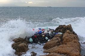 Typhoon Pulasan Hit Qingdao