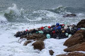 Typhoon Pulasan Hit Qingdao