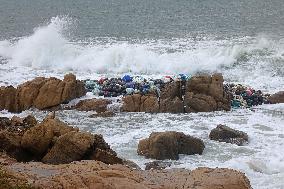 Typhoon Pulasan Hit Qingdao