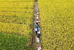 New Rice Varieties Demonstration Base in Anqing