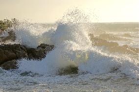 Waves Surge in Qingdao