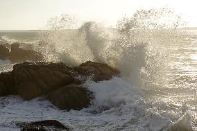 Waves Surge in Qingdao