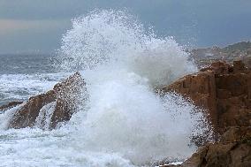 Waves Surge in Qingdao