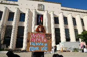 Protesters For The Sterilization Of Stray Cats In Villeurbanne