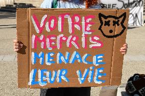 Protesters For The Sterilization Of Stray Cats In Villeurbanne