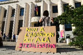 Protesters For The Sterilization Of Stray Cats In Villeurbanne