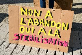 Protesters For The Sterilization Of Stray Cats In Villeurbanne