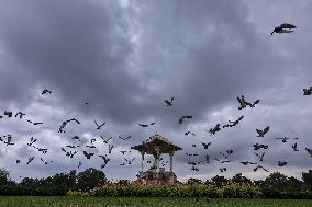 Dark Clouds In Jaipur