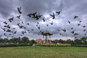 Dark Clouds In Jaipur