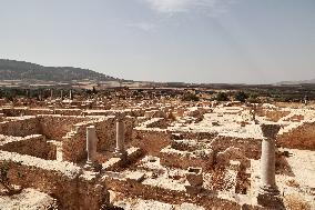 Volubilis UNESCO World Heritage Site - Morocco