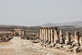 Volubilis UNESCO World Heritage Site - Morocco