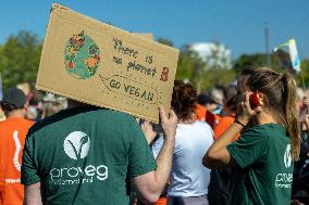 Global Climate Strike In Berlin