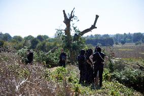 4th Day Of Attempt Of The Cnamo, Police Special Unit, To Dislodge 'ecureuils' Who Live In Tree On The Planned A69 Highway