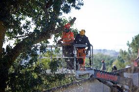 4th Day Of Attempt Of The Cnamo, Police Special Unit, To Dislodge 'ecureuils' Who Live In Tree On The Planned A69 Highway