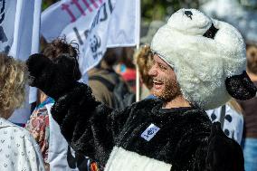 Global Climate Strike In Berlin