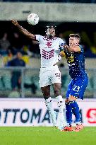 Hellas Verona v Torino FC - Serie A Enilive