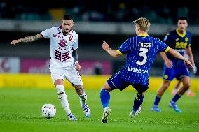 Hellas Verona v Torino FC - Serie A Enilive