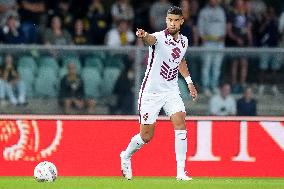 Hellas Verona v Torino FC - Serie A Enilive