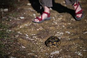 Daily Life In Berat