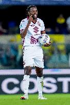 Hellas Verona v Torino FC - Serie A Enilive