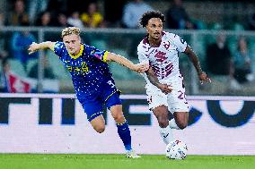 Hellas Verona v Torino FC - Serie A Enilive