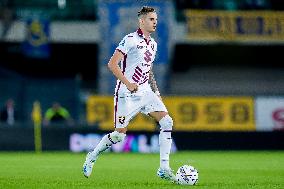 Hellas Verona v Torino FC - Serie A Enilive