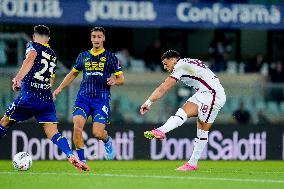 Hellas Verona v Torino FC - Serie A Enilive