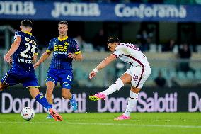 Hellas Verona v Torino FC - Serie A Enilive