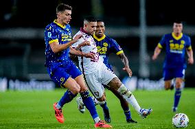 Hellas Verona v Torino FC - Serie A Enilive